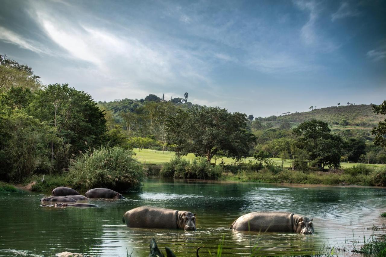 Sabi River Sun Resort Hazyview Exteriör bild